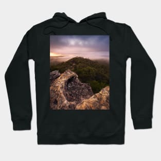 Foggy View Hoodie